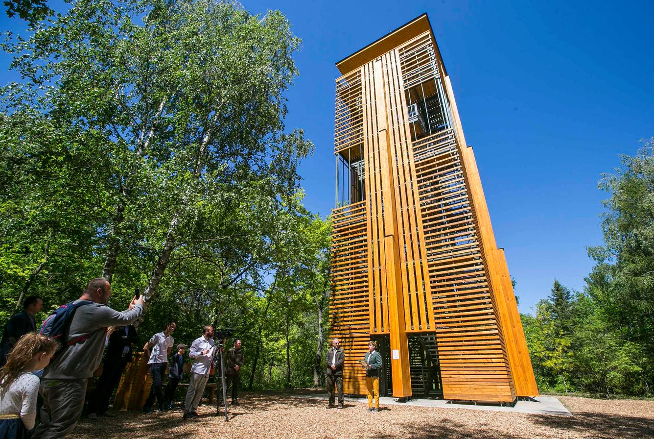 Arborétum Kilátó, Kecskemét